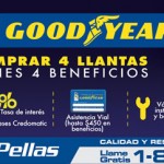 LLANTAS GOOD YEAR CASA PELLAS