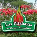 25% de descuento en Restaurante Las Pitahayas
